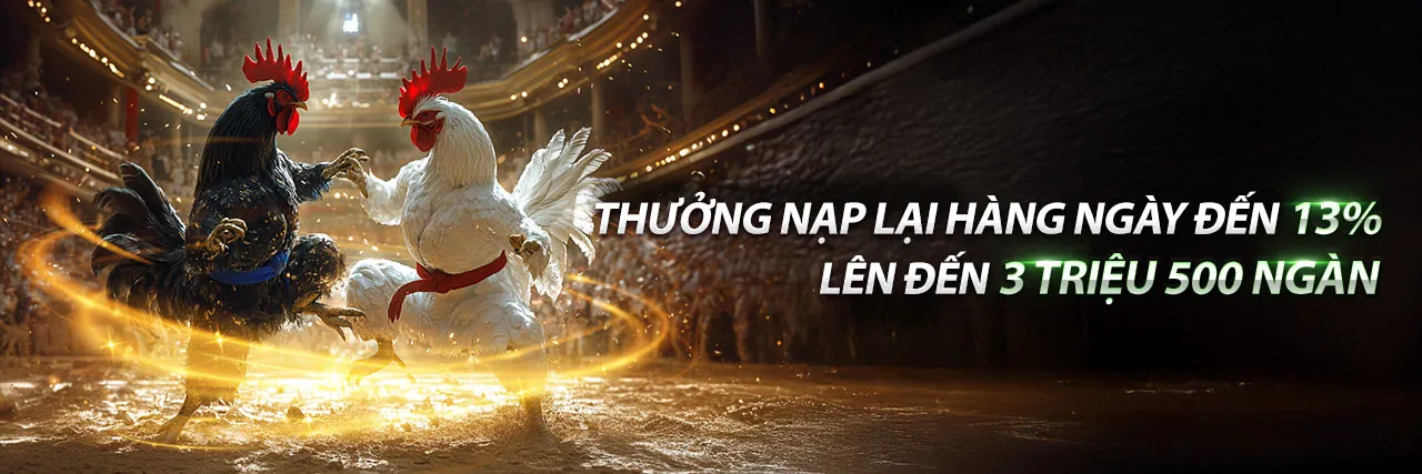 Ưu Đãi Độc Quyền Thomo999
